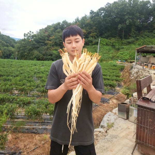 할배장터 도라지 약도라지 흙 세척 햇도라지 26년 국산 1kg