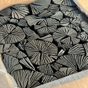 오케이 참숯 3단 숯 20kg 구이용 바베큐용 펜션 캠핑 맹그로브