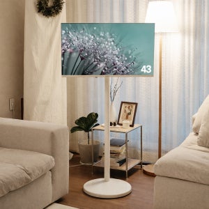 프레미디 스탠무빙 P1 암구조 삼텐바이미 109cm(43인치) FHD tv 중소바이미 이동형티비 삼탠바이미