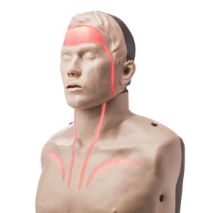 심폐소생술 마네킹 CPR 인형 학교 군대 보건교육교구 BRAYDEN 혈행형