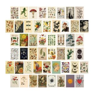 빈티지 식물 타로 미학적 벽 콜라주 키트, 플로라 및 곤충 일러스트레이션 아트 포스터, 카드 룸 장식, 50 개
