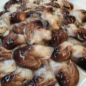 국내산 내장 손질 생물 새조개 초코 제철 손질새조개 200g