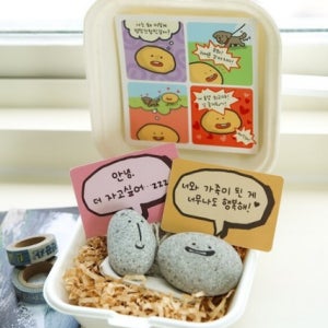 애완 돌멩이 애완돌 스톤펫 반려돌 키우기