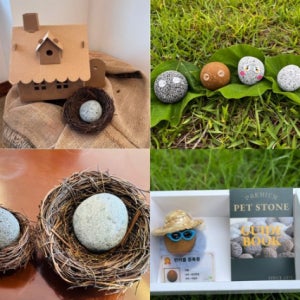 애완 돌멩이 애완돌 스톤펫 반려돌 키우기