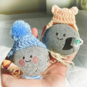 애완 돌멩이 애완돌 스톤펫 반려돌 키우기