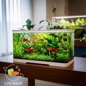 안깨지는어항 거북이 구피 열대어 아크릴 수족관 금붕어 키우기 물고기 수조 중형 화이트