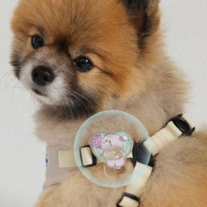 포글 강아지 산책클립 O.G.M 클립 3종(택1)