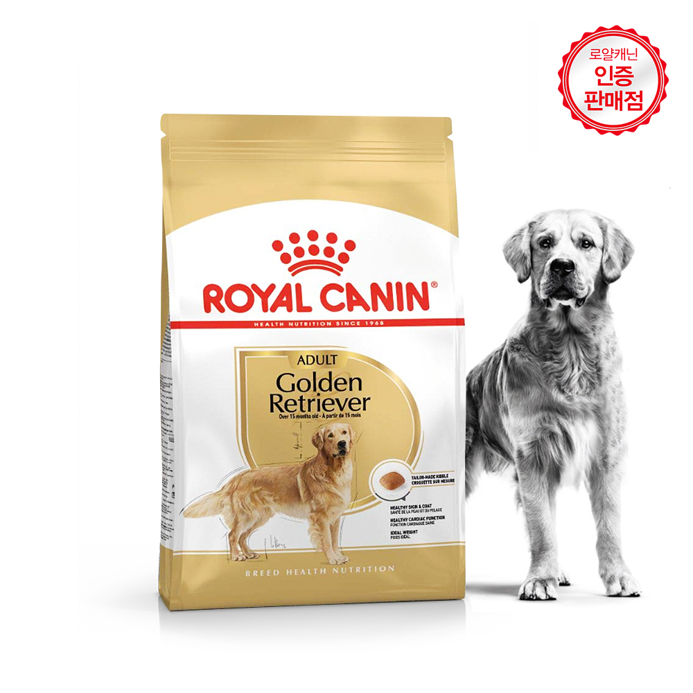 골든 리트리버 (Golden Retriever)