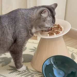 여우와 두루미 고양이 슬로우 식기 고양이 밥그릇 도자기 급체방지 낼름 식기