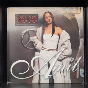 Amil & Beyonce – I Got That / 4 Da Fam 12’ LP
