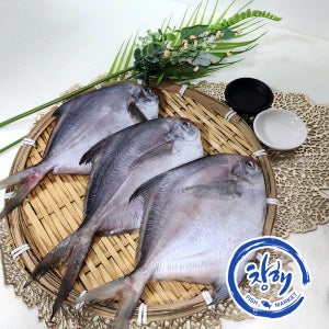 여수 국산 자연산 반건조 병어 제수용 선물용 손질병어 아이들반찬용 구이 조림 캠핑