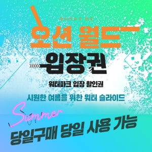 [당일사용] 홍천 오션월드 입장권 종일권 실내락카 실외락커 구명조끼 이지패스 주중주말 오후권