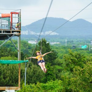 [ 제주 레포츠랜드 ] 제주도 액티비티-짚라인체험 높이 12m, 왕복 250m의 거리 스릴과 재미는 물론 확실한 안전장치까지 장착