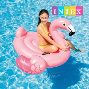 인텍스 INTEX 플라밍고 라이드온 튜브 바캉스 휴가 수영장 인싸 SNS 57558