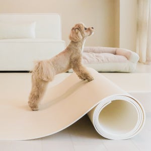 펫바이블 무독성 강아지매트 고양이 TPU 애견매트 미끄럼방지 롤 반려견 크림 베이지 1m