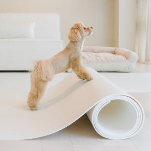 펫바이블 무독성 강아지매트 고양이 TPU 애견매트 미끄럼방지 롤 반려견 1m