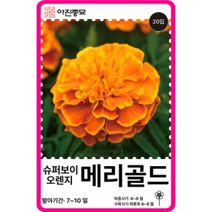 메리골드 씨앗 20립 / 슈퍼보이 오렌지 메리골드 종자 봄 가을 꽃씨몰 [아진종묘]