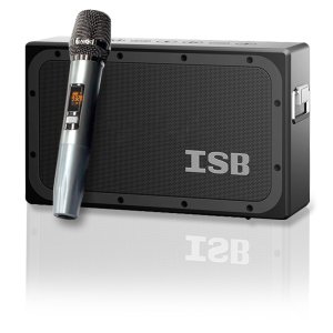 블루투스 마이크 스피커 내장배터리 16500MA 110w 배성오디오