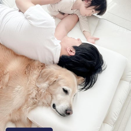 호무로 슬립웰 히든코어 쿨겔 메모리폼 경추베개 8cm 6cm