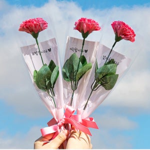 카네이션 비누꽃 조화 선물 스승의날 어버이날 OPP포장