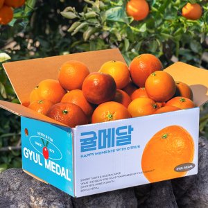 고당도 제주 블러드오렌지 2kg 3kg 5kg 10kg 가정용