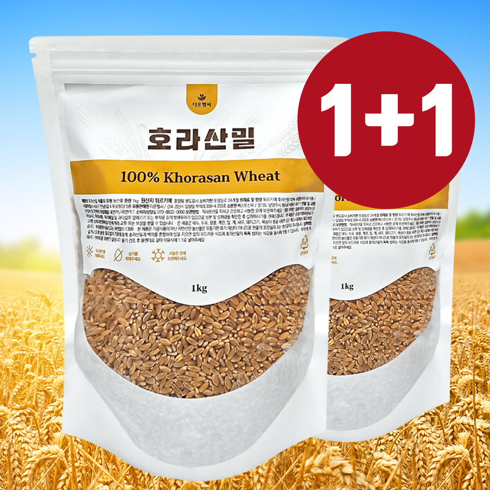 파로 이미지