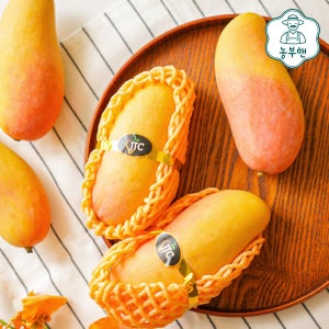 항공직송 무지개 마하차녹 망고 태국망고