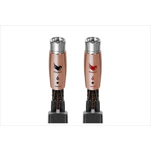 오디오퀘스트 페가수스 밸런스 인터커넥터 케이블