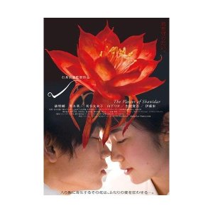 아야노 고 쿠로키 하루 블루레이 DVD 샤니다르 꽃 특별판