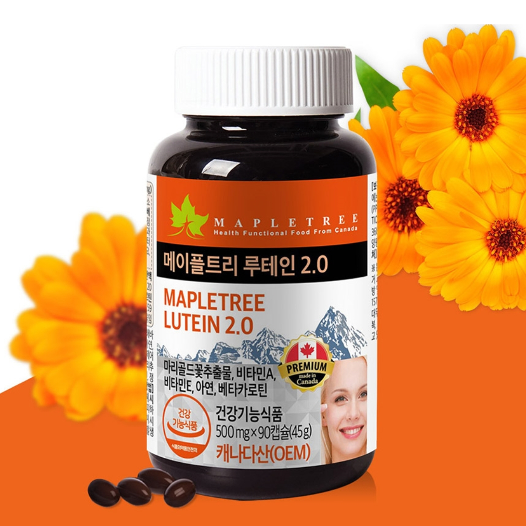 메이플트리 루테인 2.0