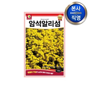 암석 알리섬 씨앗 100립 알릿섬 바위냉이 다년생 노란색 꽃 노지월동 꽃씨 종자