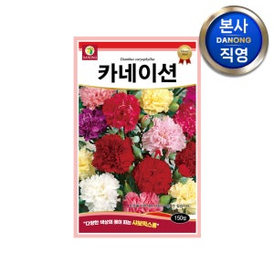 카네이션 씨앗 150립 샤보믹스종 혼색 다년생 야생화 꽃 봄 파종 꽃씨 종자