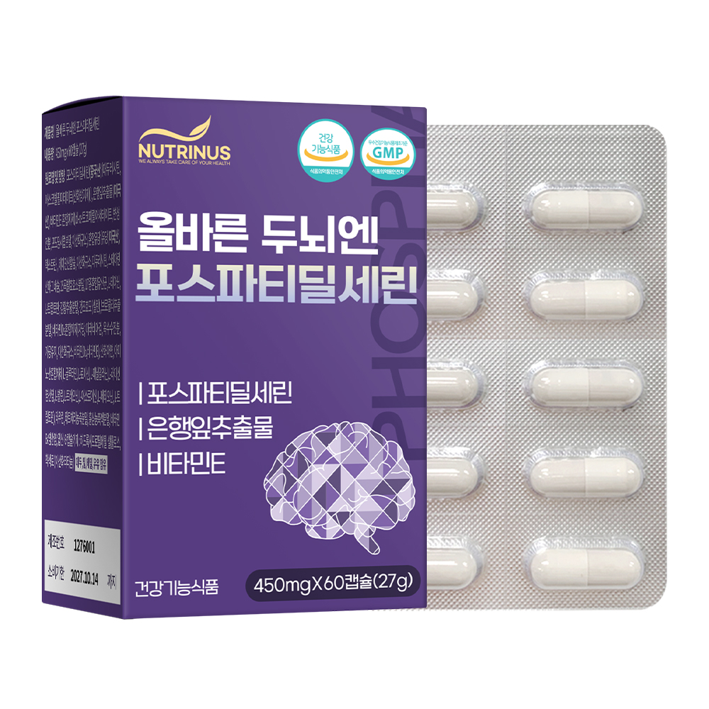 메모리 피에스(PS) 한스틱