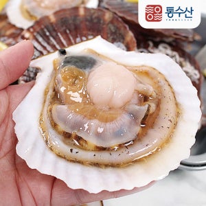 통수산 대왕 참가리비 1kg 큰 가리비 캠핑조개