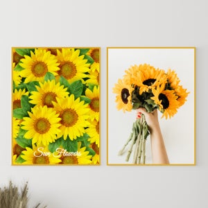 셀렌디자인 해바라기숲 금전운 행운 가득 해바라기 알루미늄 액자 6종