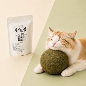 고양이 미쳐하는 캣글라스 장난감