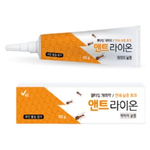 흰개미 퇴치 아파트 날개달린 날개미 불개미 애집개미 퇴치 마른나무 흰개미 방역