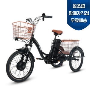 완조립도착 AU테크 2025년식 스카닉 트라이크 세발 삼륜 전기자전거 48V 10A