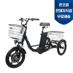 완조립도착 AU테크 2026년 스카닉 트라이크 세발 삼륜 전기자전거 48V 10A