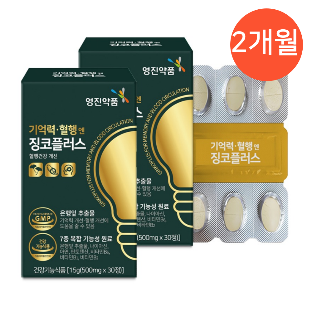 <b>플라보놀배당체</b> 은행나무 <b>추출물</b> 징코 은행나무잎 혈액순환 2박스