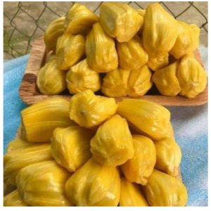 VINAMIT 잭 프룻 칩 비나밋 JACKFRUIT 프루트 건조 말린 잭푸르트 과일칩