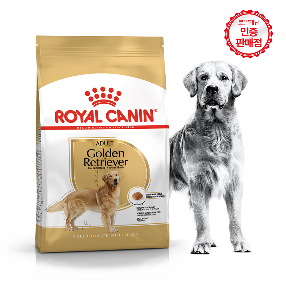 골든 리트리버 (Golden Retriever)