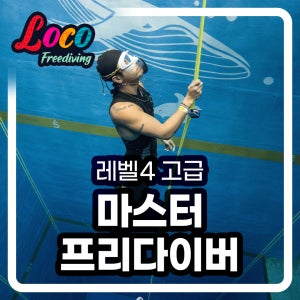 PADI 마스터 프리다이버 강습 레벨4 프리다이빙 잠실 인천 서울 파라다이브 잠수풀