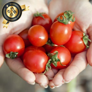 국산 고당도 대추방울토마토 방울토마토 750g 1.5kg 3kg