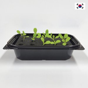 스마트팜 최저가 가성비상품