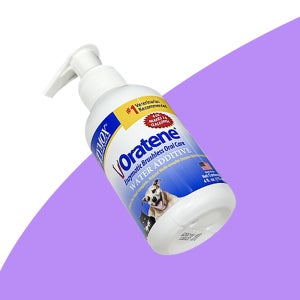 [자이목스] 오라틴 드링킹 워터 애더티브, 115ml