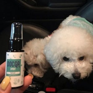 강아지 멀미약 개 애견 차 멀미 약 스프레이