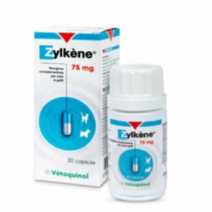 강아지 멀미약 개 애견 차 멀미 약 진정제 심신 안정제