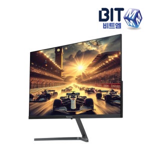 비트엠 Newsync B2412F IPS ZERO 게이밍 120 HDR 무결점