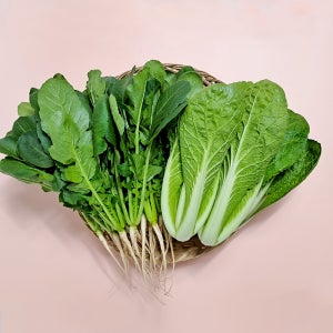 포천 연하고 짧은 어린열무 얼갈이 반반 2kg 농가직송